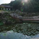박사리 | 사빈의 산사 여행 (21) : 불굴사(佛窟寺)