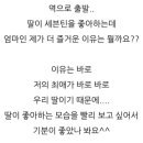 콩그레츄 네이버블로그