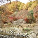 비룡민박 이미지