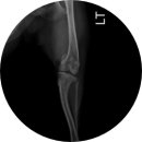 하늘동물병원 이미지