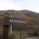 [무등산국립공원]동적골~마집봉~서인봉(617m)~중머리재~바람재~학운초~동적골 원점회귀(2022/11/23/목) 이미지