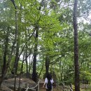 농땡이연구소 | 부산 범어사 힐링 템플레킹 (템플 + 트레킹) 우중 등산 후기