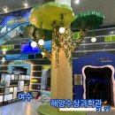 의정부1동 작은도서관 별관 | 여수 가볼만한곳 아이랑 실내 작은 아쿠아리움 해양수산과학관
