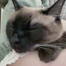 서진동물병원 이미지