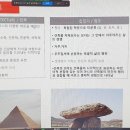 인간+자연 이미지