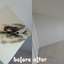 남양주자동차주식회사 이미지