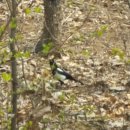 강동-길동-2770 | 숲의 소리를 들어봐 길동자연생태공원