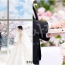 용인시 유도회관 | 용인 아이티컨벤션 본식스냅 추천, 그레이스홀 결혼식 후기 | 흥덕it밸리웨딩홀 | IT컨벤션그레이스홀...