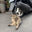 신광이불백화점 | 떵히의 3박4일 타이페이 여행 / 서이추환영