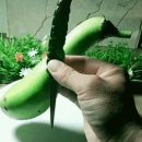 동아자재 이미지