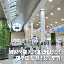 낙산관광안내소 | 양양국제공항 제주도 노선 파라타 항공 후기 편의시설, 셔틀버스 등