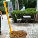 매머드익스프레스 서울숲아이코닉점