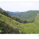산길 - 구로구 구로동로 110-1 | 산길