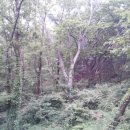 명원농장 이미지