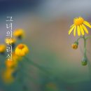 그녀의관리실