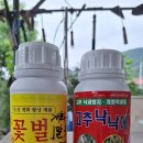 화도농약종묘사