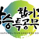 상승합기도특공무술 이미지