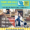 크린토피아코인워시오산