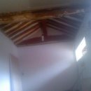 낙엽송식당 이미지