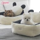 바오도그 이미지