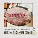어부딸포장회도매센터 | 속초고성회포장추천 비치수산회센터 고성본점 방문후기