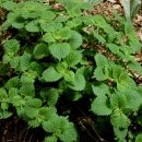 추억저장소 이미지