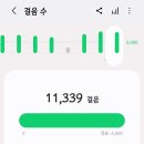 그리폰 | 닥터마틴 그리폰 후기