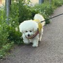 정성이 가득찬 집밥(정성찬) | 고양시반찬배달 집밥 집들이 고민 해결해 주는 푸짐한 정갈한찬 후기