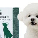 모모하우스 이미지