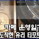 [양바리스타의 카페운영일기 #5] 허브티담는 유리 티포트 구입시 주의사항./허브차/허브잎차/티백/전기티포트/유리포트 이미지