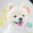 산호동457 이미지