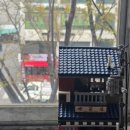 아마의 맹점 이미지