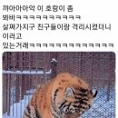 FACE안경원 이미지