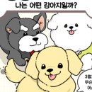 안녕댕댕이 이미지