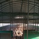 고려농장 이미지