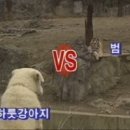 없음 이미지