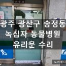 녹십자 동물병원 이미지