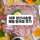 사송횟집 | 양산 사송맛집 어푸, 제철 방어회제대로 즐긴 후기