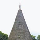 솔의향기 이미지