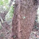 송담2로 이미지