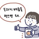 우암숲유치원 이미지