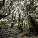 금산공원🌳🌳🌳🐿️ 이미지