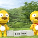 솔로몬 도서관 이미지