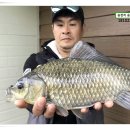 대물