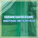 개포4동문화센터 | 골프공으로 파손된 석고벽 복원수리 실내골프연습장 구멍난 석고보드벽수리