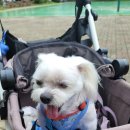 유림동물병원 이미지