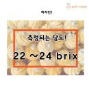 푸레 이미지