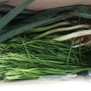 고신농장 이미지