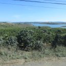 지상길농장 이미지