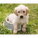 무안동물병원 이미지